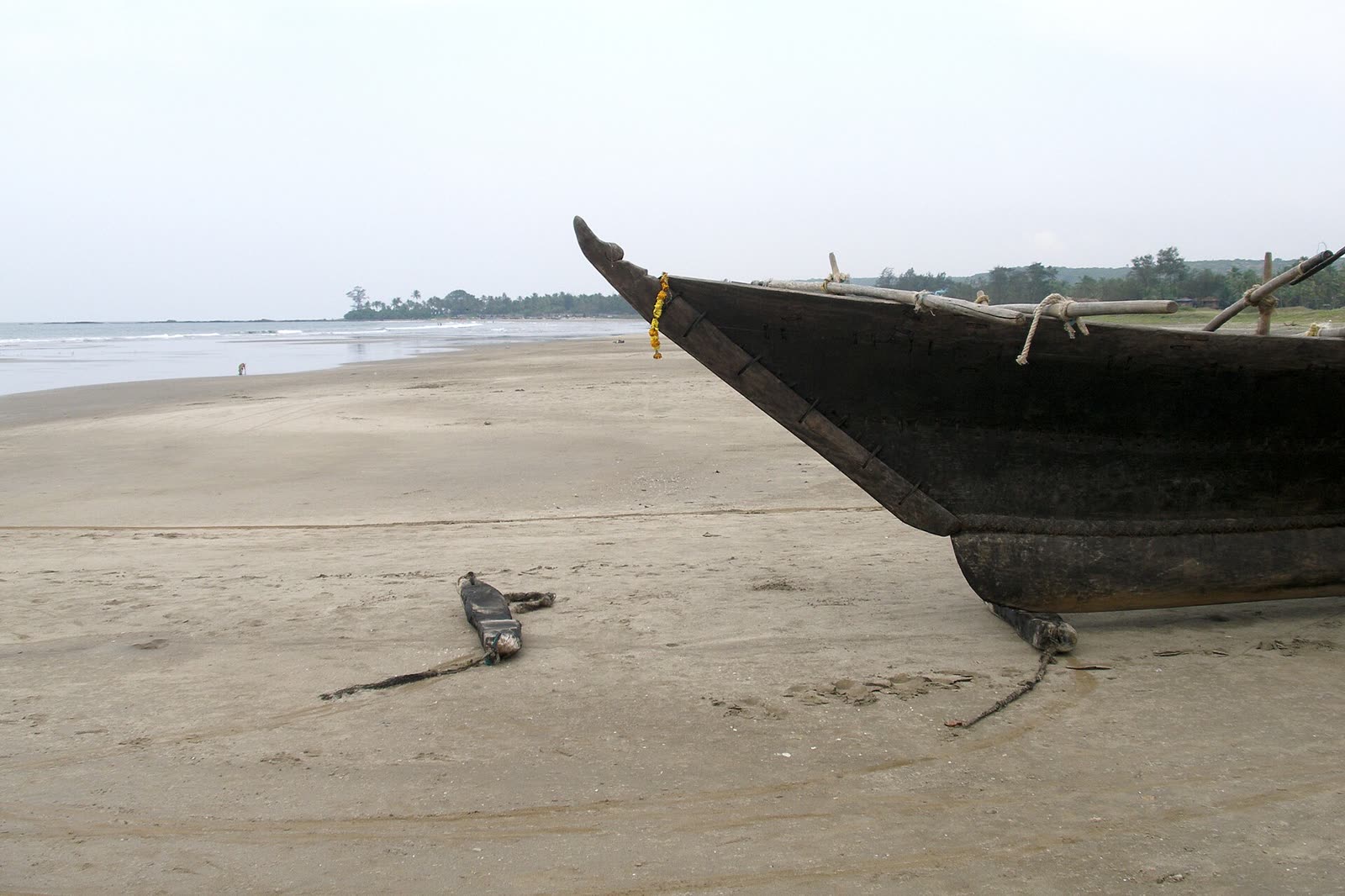 Morjim — Turtle sands, quiet north, Goa